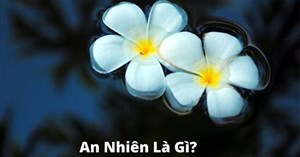 An nhiên là gì? Làm sao có được cuộc sống an nhiên?