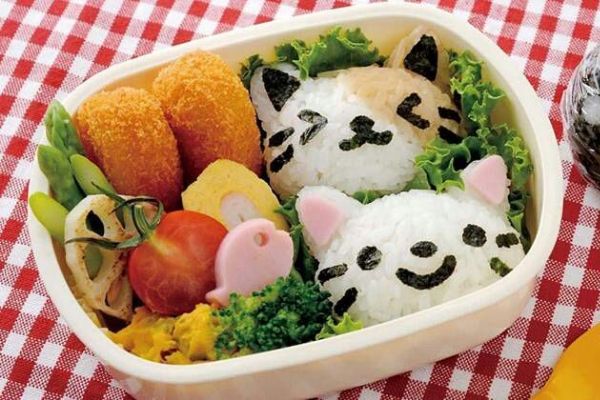 Mẫu hộp cơm xinh xắn dễ thương