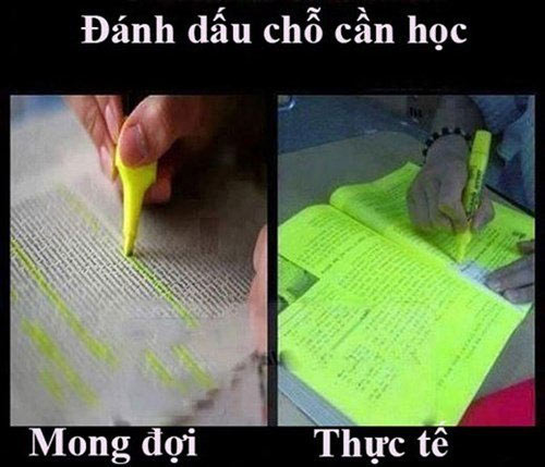 Mong đợi và thực tế luôn khác xa nhau