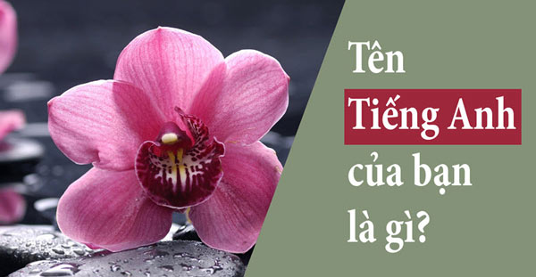 Tên tiếng Anh hay