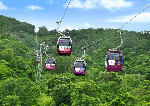 Cáp treo núi Tà Cú