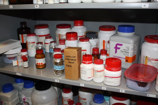 Là chất độc nhưng trong một số trường hợp khẩn cấp cyanua có thể được sử dụng làm thuốc