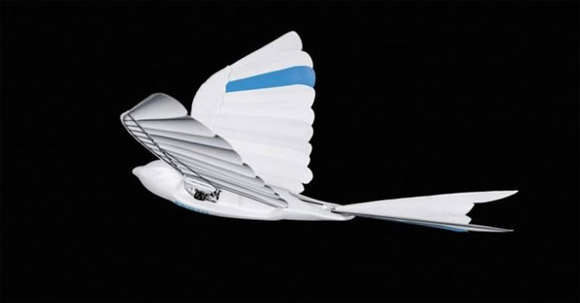 Robot chim Bio Swift