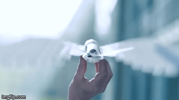 Robot vỗ cánh, cất cánh và di chuyển nhẹ nhàng trong không gian rộng.
