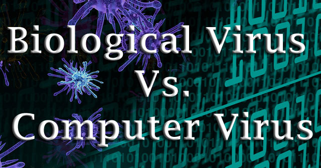 Virus máy tính và virus sinh học có gì giống nhau?