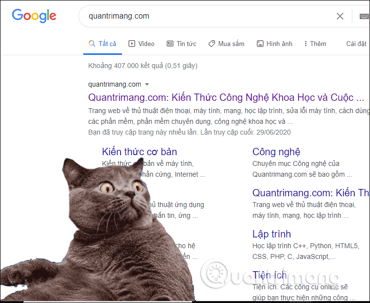 Hiển thị hình ảnh con mèo