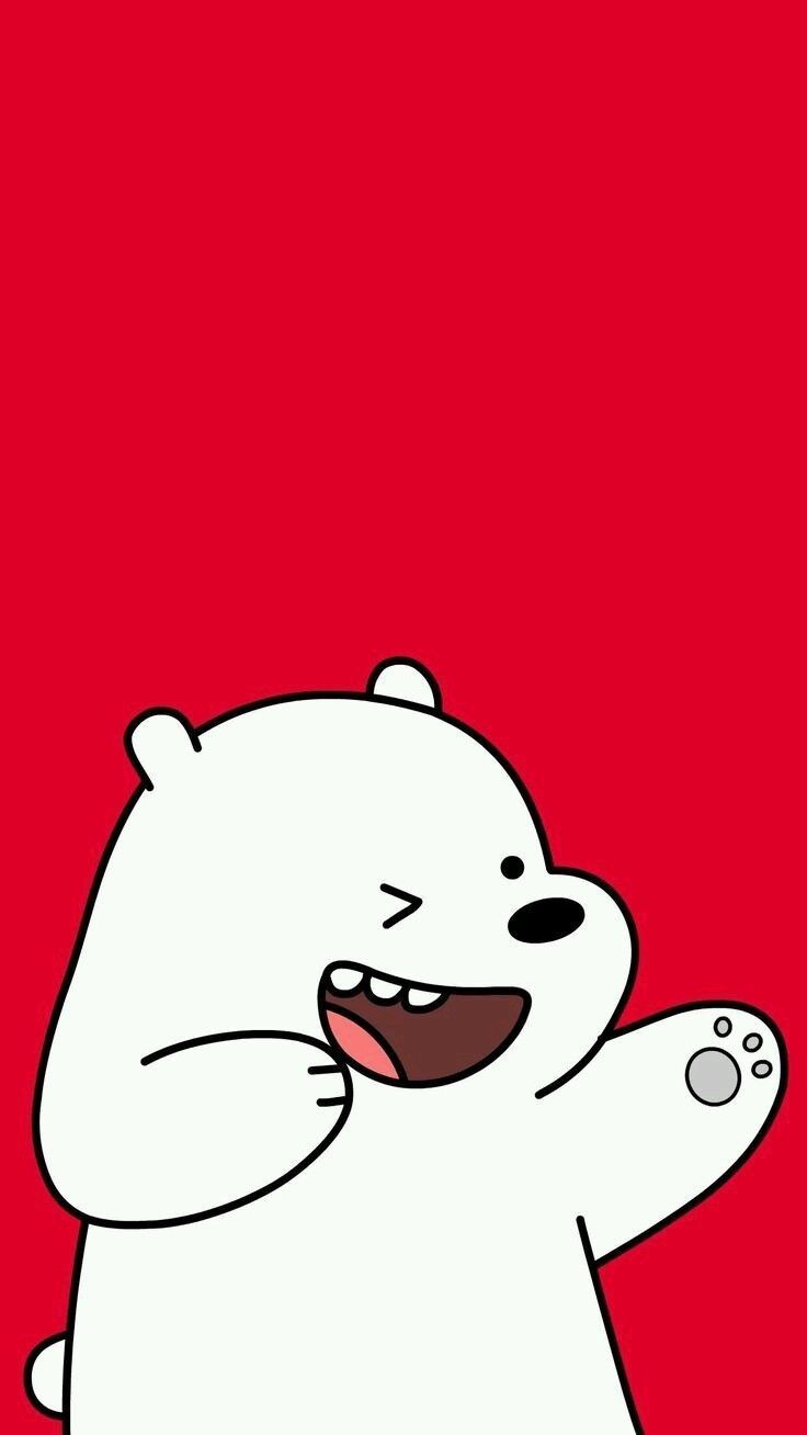 99 Ice Bear ý tưởng  gấu bắc cực gấu xám gấu