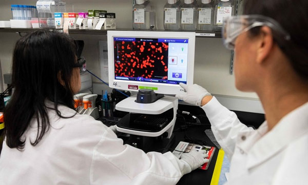 Bộ Tư pháp Mỹ cũng nghi ngờ Li Xiaoyu và Dong Jiazhi đang xâm nhập máy tính của các tổ chức chính phủ nước này để tìm dữ liệu về nghiên cứu Covid-19