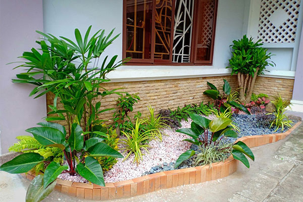 Tiểu cảnh trước nhà đẹp