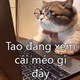 Ảnh comment fb, ảnh chế cmt Facebook
