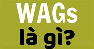 WAGs là gì? Những nàng WAGs ‘nóng bỏng nhất thế giới’