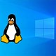 Bằng chứng mới cho thấy ngày càng nhiều người dùng Windows chuyển sang Linux