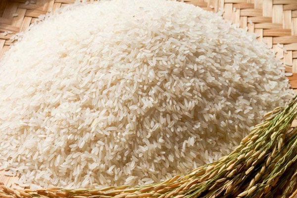 Giá lúa gạo hôm nay 2810 Giá lúa biến động trái chiều giá gạo xuất khẩu  cao hơn Thái Lan 50 USD  Hiệp hội Lương thực Việt Nam
