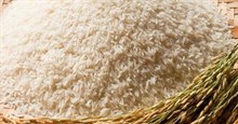 11 loại gạo ngon nhất Việt Nam được nhiều người dùng lựa chọn
