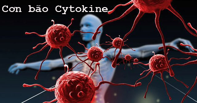 Hội chứng cơn bão cytokine