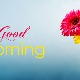 99+ stt chào ngày mới, lời chúc ngày mới tràn đầy năng lượng và thành công