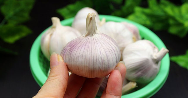 Cách chọn tỏi