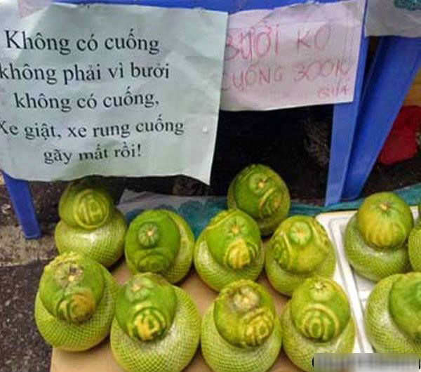 Quảng cáo bưởi hồ lô không cuống.