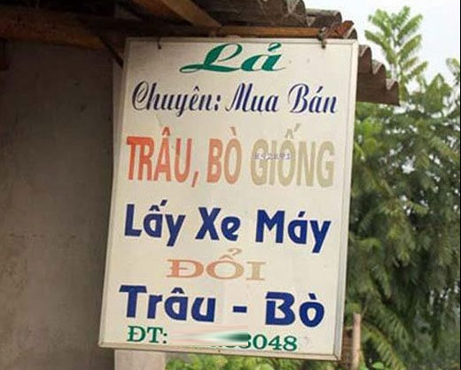 quang cao ba dao 17*114841