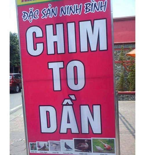 Cửa hàng có đủ món từ chim, chim gì cũng có từ chim nhỏ đến chim to.