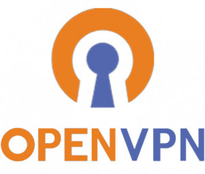 OpenVPN là một giao thức mã hóa mạng riêng ảo (VPN) mã nguồn mở