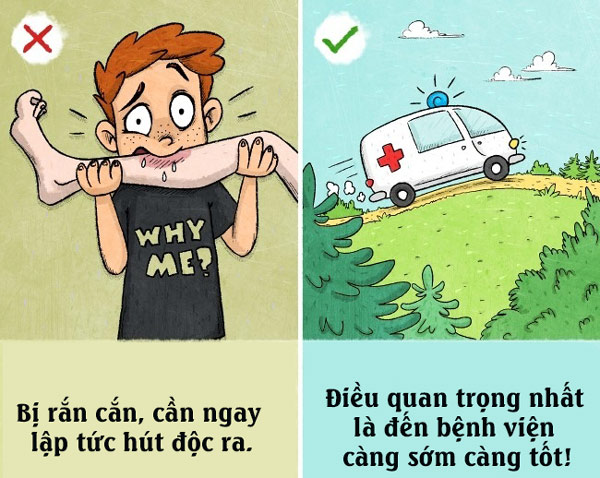 Khi bị rắn cắn