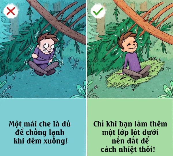 Để qua đêm trong rừng