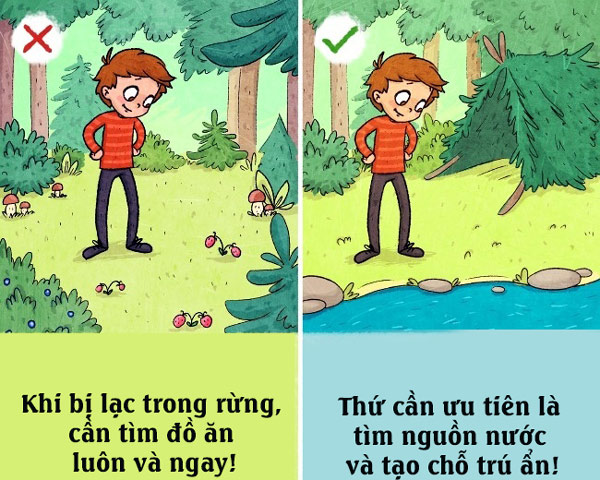 Bị lạc trong rừng