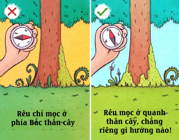 Xác định hướng khi đi lạc 