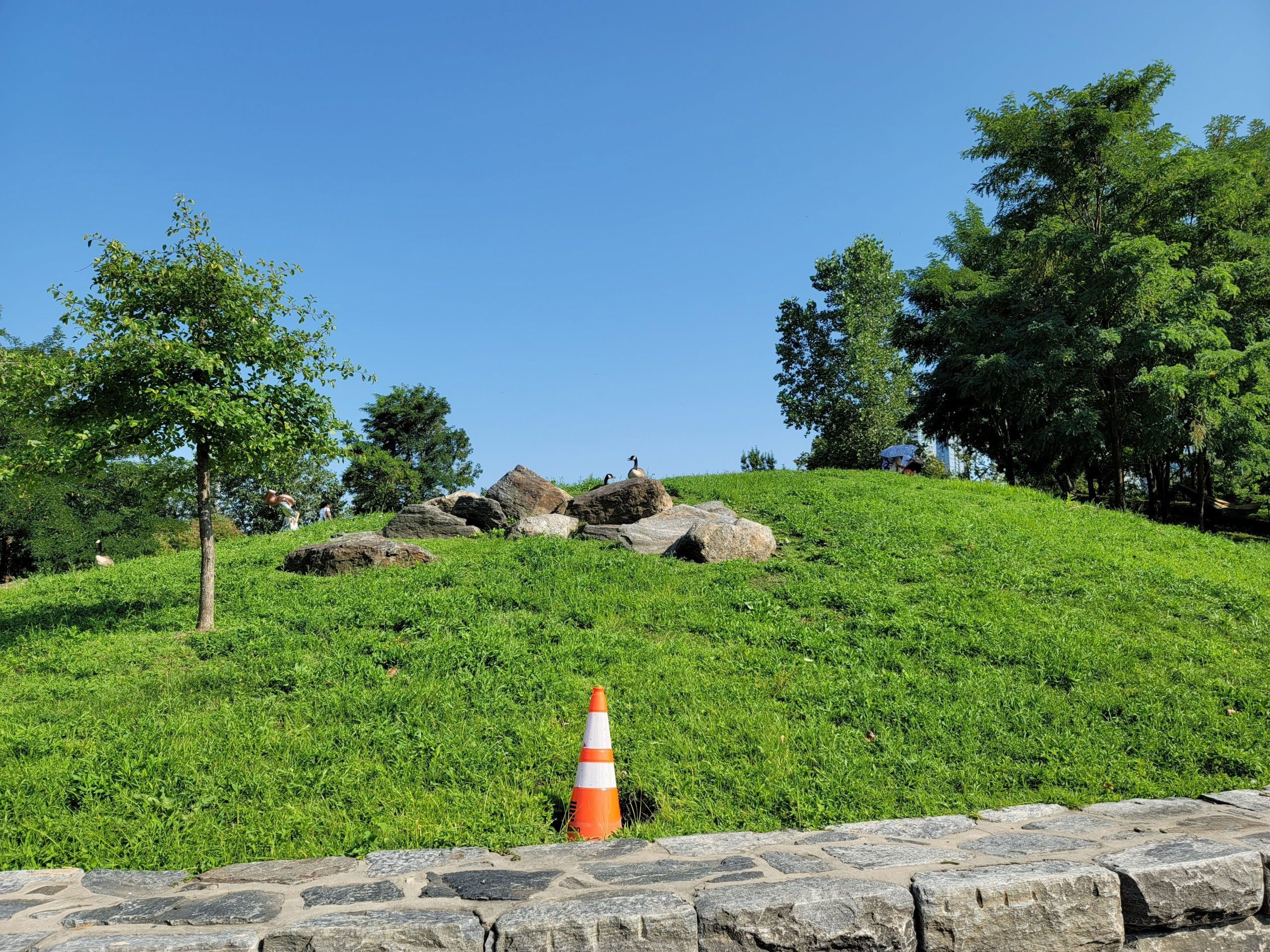 Ảnh chụp 1x thông thường 