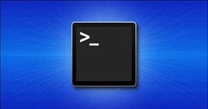 Tổng quan cách sử dụng macOS Terminal cho người mới bắt đầu