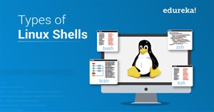 Linux Shell là gì? Các Linux Shell phổ biến nhất