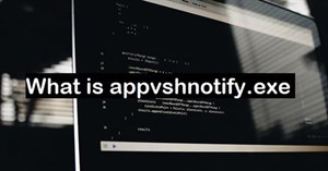 Appvshnotify.exe là gì? Có thể vô hiệu hóa Appvshnotify.exe không?