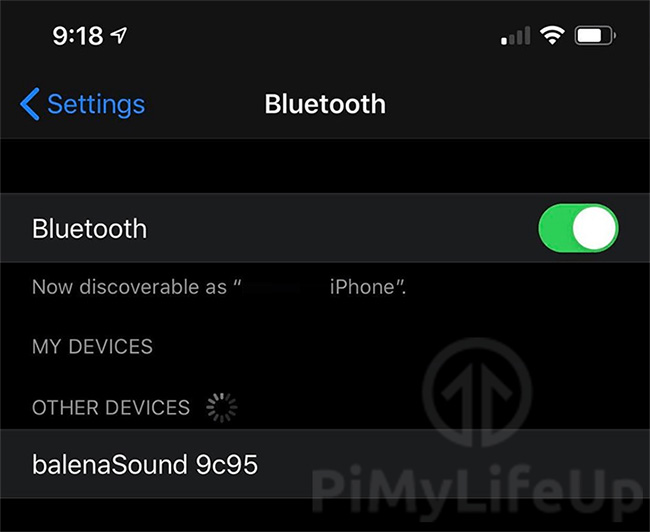 Bạn sẽ thấy thiết bị xuất hiện với tên “balenaSound”