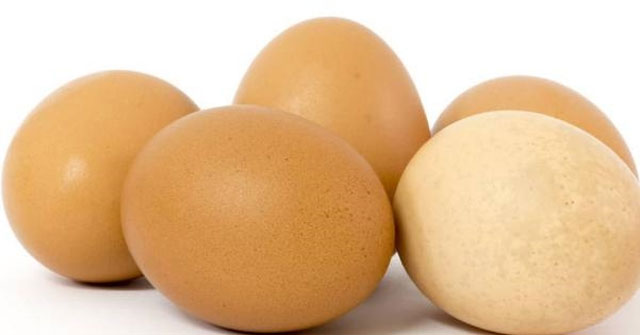 Cách chọn trứng tươi mới 