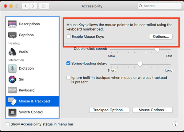 Tắt lựa chọn Enable Mouse Keys