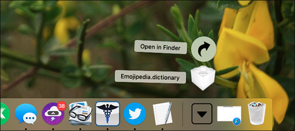 Tải file đuôi dictionary