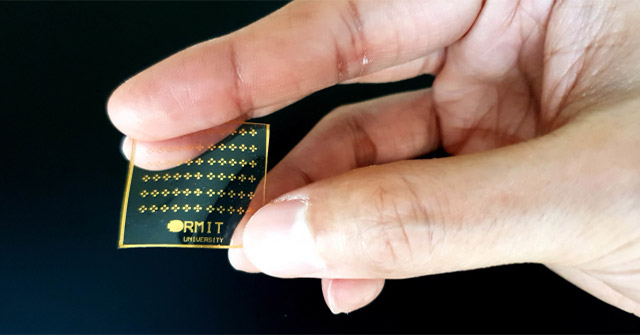Thành quả của Đại học RMIT