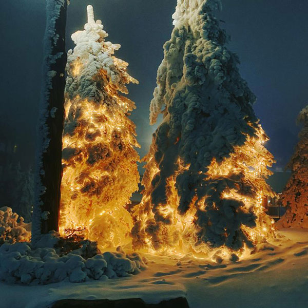 Những cái cây được trang trí đèn sau khi bị tuyết bao phủ trông giống như một vụ phóng tên lửa.