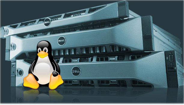 Linux mã nguồn mở là hệ điều hành phổ biến nhất đối với các nhà cung cấp dịch vụ web hosting
