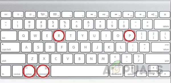 Cách sửa lỗi Mac bị trắng màn hình