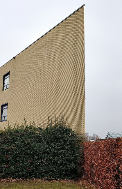 Một chú chó dài lưng?