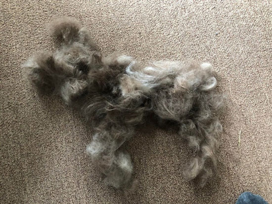 Chân em bé này có cái gì đó sai sai đùng không