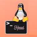 7 cách sử dụng lệnh Head trong Linux