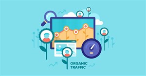 Organic Search Traffic là gì?