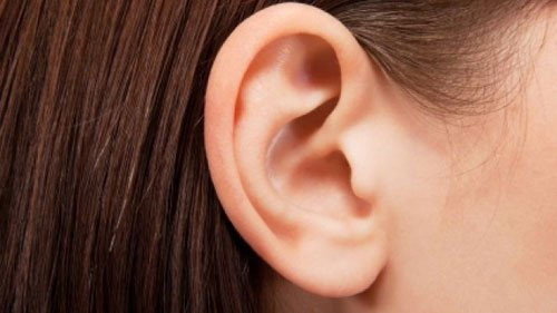 Sự thật thú vị về tai 