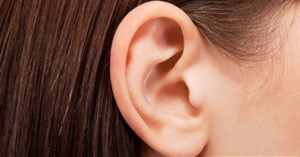 15 Sự thật thú vị về tai không phải ai cũng biết