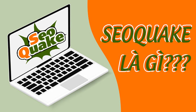 SEOquake giúp quản lý và xem xét tình trạng SEO của trang web