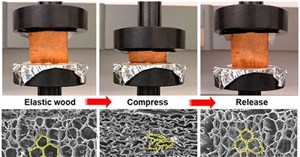 Biến gỗ thành vật liệu đàn hồi như cao su