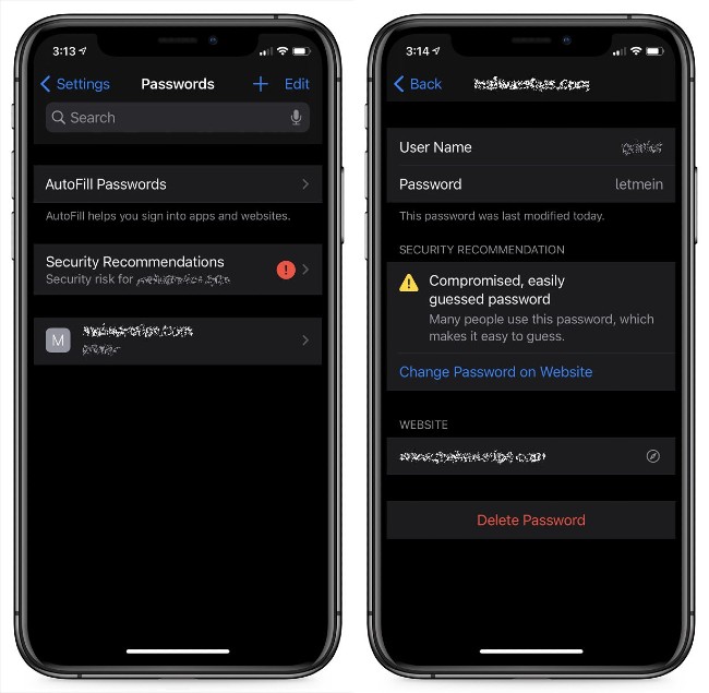 iOS 14 added a feature to detect leaked passwords